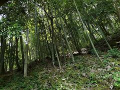 -韶山毛泽东同志故居