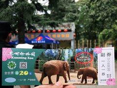 -昆明动物园