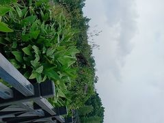 -海珠湖公园