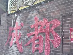 -小龙翻大江文化火锅(宽窄店)