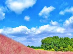 -嘉北郊野公园