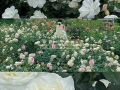 -人民公园(罗湖区)