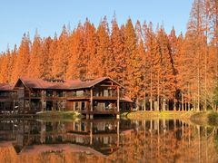 -黄海国家森林公园