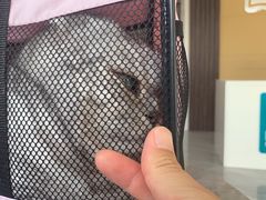 -德元·美联众合24小时动物医院(总院)