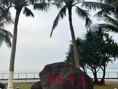 -万绿园