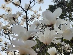 -宁波九龙湖开元度假村