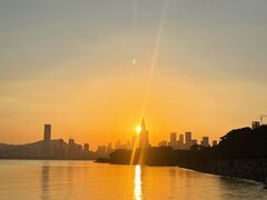 -宝安西湾红树林湿地公园