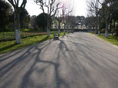 -上海鲜花港