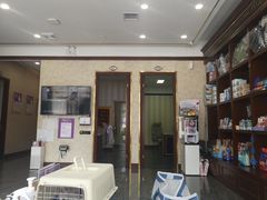 -宠爱国际动物医院· 猫科· 外科·中兽医(长白店)