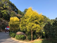 -广州市帽峰山景区