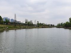 -桂溪生态公园