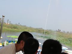 -洪湖湿地生态园