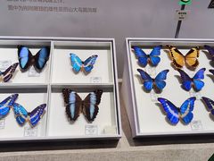 -烟台市博物馆