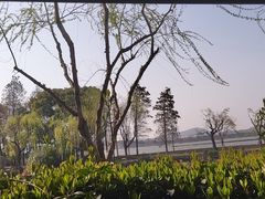 -梁溪河畔·吉府花园(南长街南下塘店)