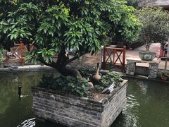 -猪肉婆私房菜(容桂总店)