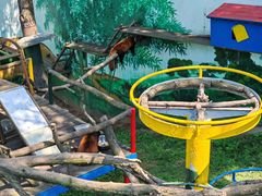 -西霞口神雕山野生动物世界