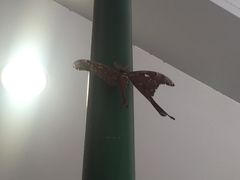 -热带雨林自然公园