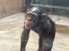 -石家庄市动物园