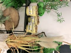 -四叶咖咖啡(昆明恒隆PRO店)