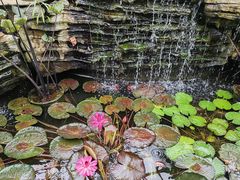 -国家植物园南园