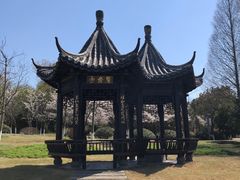 -天生桥景区