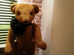 -济州岛泰迪熊博物馆