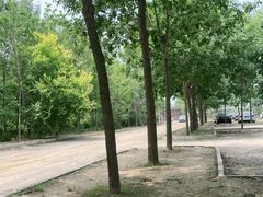 -南宫五洲植物乐园