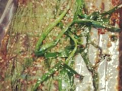 -燚焱炎火铜锅涮·烧烤