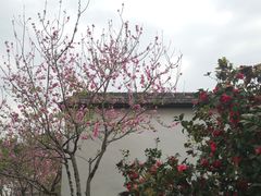 -乌山风景区