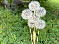 -沈阳森林动物园