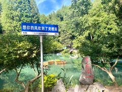 -灵栖洞天