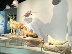 -中国湿地博物馆