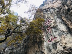 -狼牙山风景区