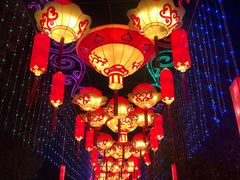 -武汉园博园(武汉自然博物馆)
