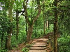 -青城山