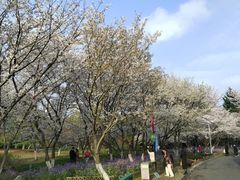 -白塘生态植物园