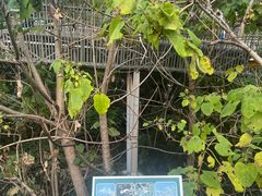 -福道
