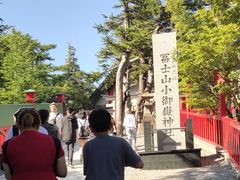 -富士山吉田線五合目