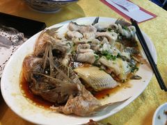 -鸽王世家(东华东路店)