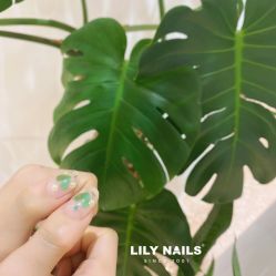 -LILY NAILS美甲美睫