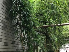 -龙潭水乡