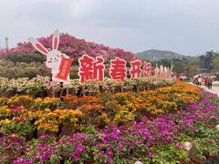 -盈香心动乐园