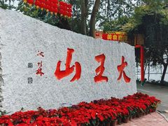 -清溪大王山森林公园