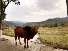 -东钱湖旅游度假区