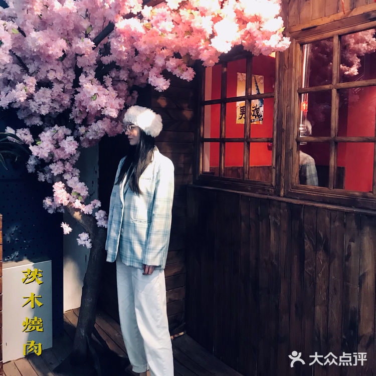 满树烂漫樱花下，炭火烤肉茨木烧