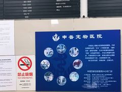 -申普宠物医院·眼科·心内科·影像科(普陀分院)