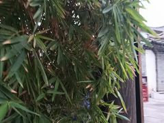 -香满楼(临安路店)