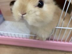 -萌兽医馆·眼科·异宠专科(三里屯店)