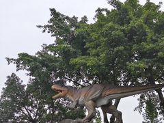 -自贡恐龙博物馆