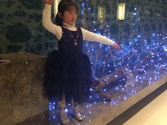 -龙之梦万丽酒店青餐厅